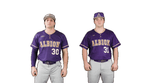 Baseball Ppp Sticker by Albion College
