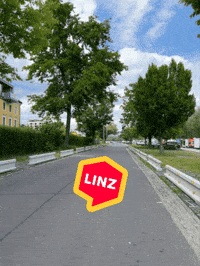Kurios What GIF by Linz News
