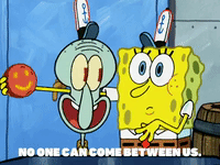 season 5 to love a patty GIF by SpongeBob SquarePants