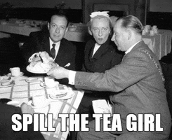 LaGuardia-Wagner drama gossip spill the tea hot gossip GIF