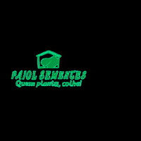 paiolsementesquemplantacolhe soja sementes syngenta paiol GIF