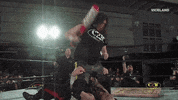 oh my god omg GIF by THE WRESTLERS