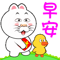 Good Morning Cat Sticker