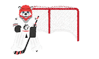 college hockey Sticker by Northeastern University