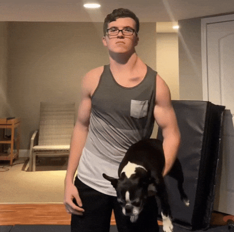 58d4b6a0e8004dd6a499524384e88c9f giphyupload GIF