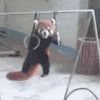 get GIF