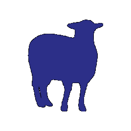 Mouton Echographie Sticker by XR REPRO