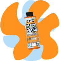 Detailing Car Care Sticker by N-XTC