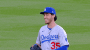 Happy Regular Season GIF by MLB