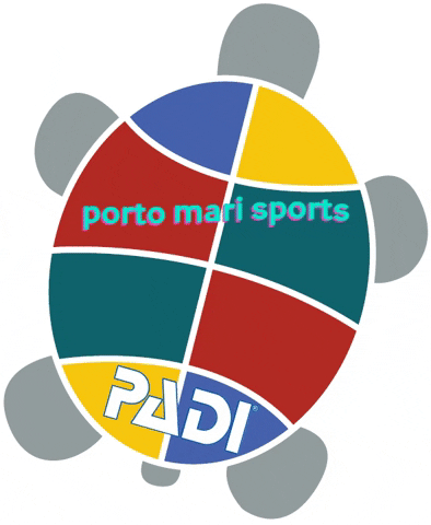 PortoMariSports giphygifmaker giphyattribution pms portomarisports GIF