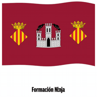 Comunidad Valenciana Valencia GIF by Formación Ninja