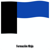Flag Spain GIF by Formación Ninja