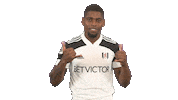 Celebration Goal Sticker by Fulham FC