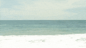 orcas live in oceans GIF by WhoSay