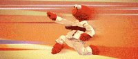 Sesame Street Karate GIF by Muppet Wiki