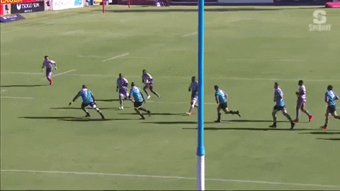 crlew giphygifmaker GIF