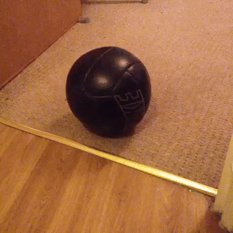 giphygifmaker out goal line technology GIF