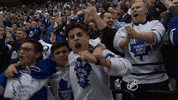 Ice Hockey GIF by NHL