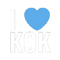 Nuoret Sticker by Kokoomusnuoret