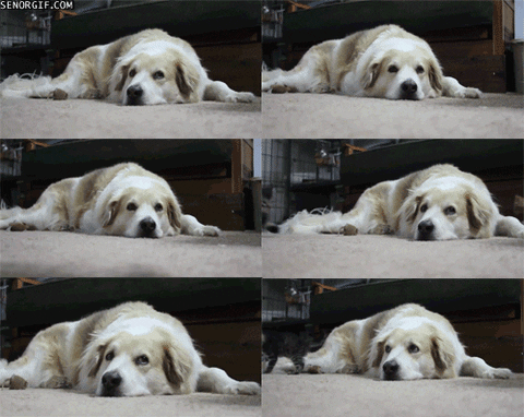 best of week running GIF by Cheezburger