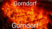 PvtSteiner saalfeld pvtsteiner pvtgucci gorndorf GIF