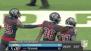 Houston Texans Football GIF by NFL