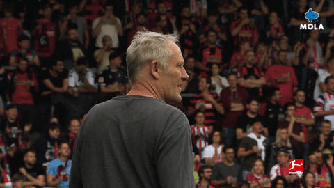 Football Reaction GIF by MolaTV