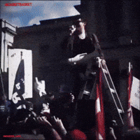 America First Fuentes GIF