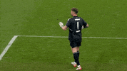 Football No GIF by FC Schalke 04