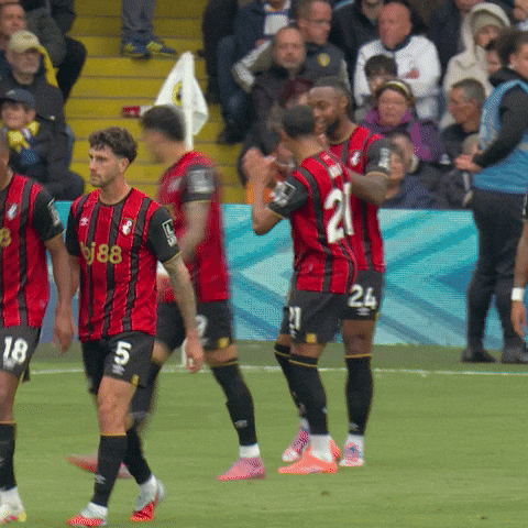 Happy Premier League GIF by AFC Bournemouth