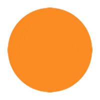 Summer Camp Sticker by The North Face