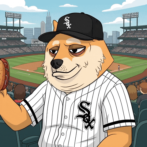 Hot Dog Eating GIF by Doge Pound