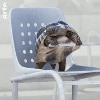 no shut up GIF by ARTE