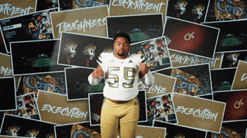 Georgia Tech Football GIF by Georgia Tech Yellow Jackets