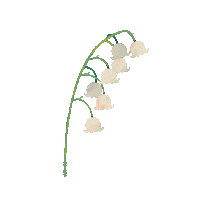 Illustration Flower Sticker