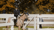 Nikki Deloach Sam GIF by Hallmark Channel