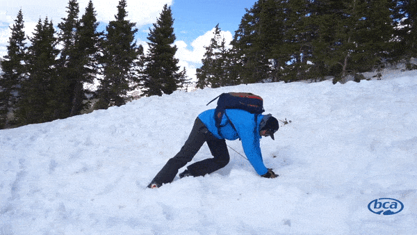 Backcountry_Access giphyupload ski safety avalanche GIF