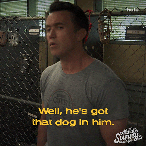 Hulu Badass GIF by It's Always Sunny in Philadelphia