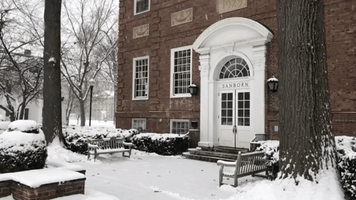 winter wonderland GIF by Dartmouth College