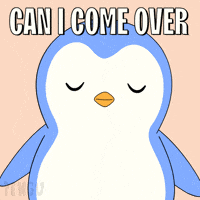 Penguin Staring GIF by Pudgy Penguins