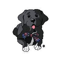 Dog Bow Sticker