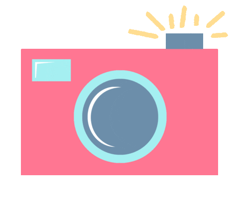 Photo Camera Sticker by LOSAN