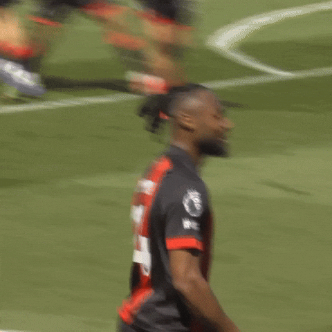 Happy Premier League GIF by AFC Bournemouth