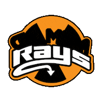 Cheer Rays Sticker by The Stingray Allstars