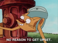nicksplat GIF