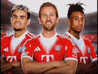 France Football GIF