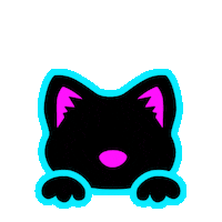 K Pop Cat Sticker by Lionsgate