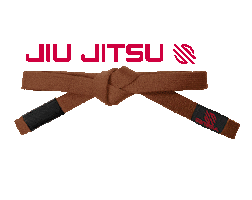 Bjj Jiu Jitsu Sticker by Sanabul