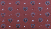 CWUAthletics soccer wildcats cwu cwuwildcats GIF