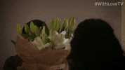 Here I Am Surprise GIF by Amazon Prime Video